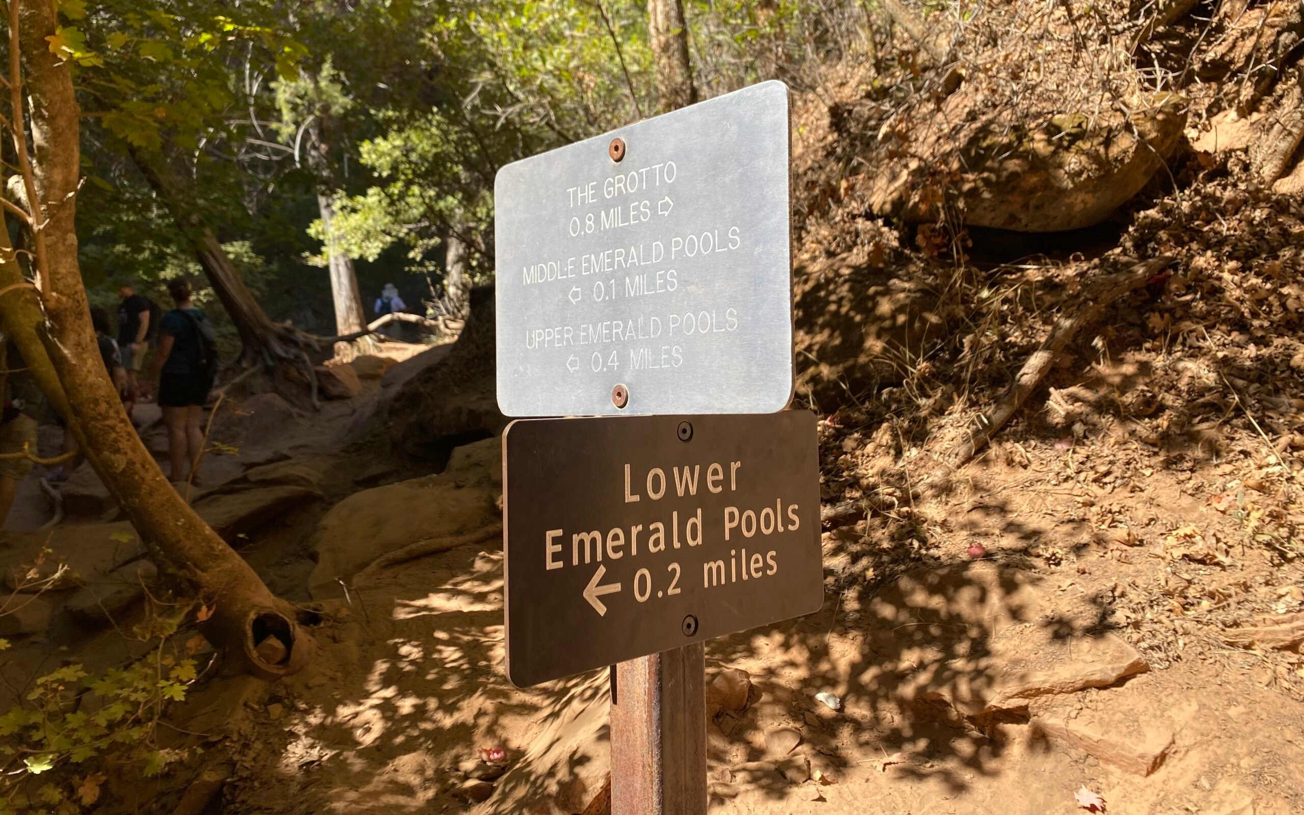 Zion National Park Caves: Discover the Secret Wonders Below the Canyon